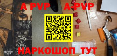 спайс Кингисепп