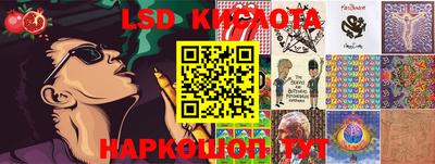 спайс Кингисепп