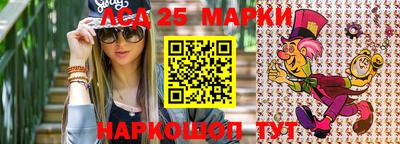спайс Кингисепп