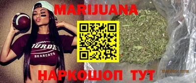 спайс Кингисепп