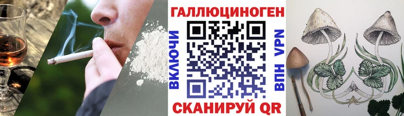 даркнет Telegram  купить закладку  Дальнегорск  Галлюциногенные грибы GOLDEN TEACHER 