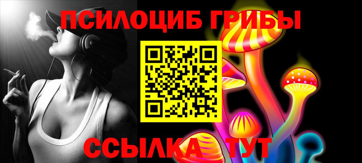 Псилоцибиновые грибы мицелий  Вход с VPN  Дальнегорск 