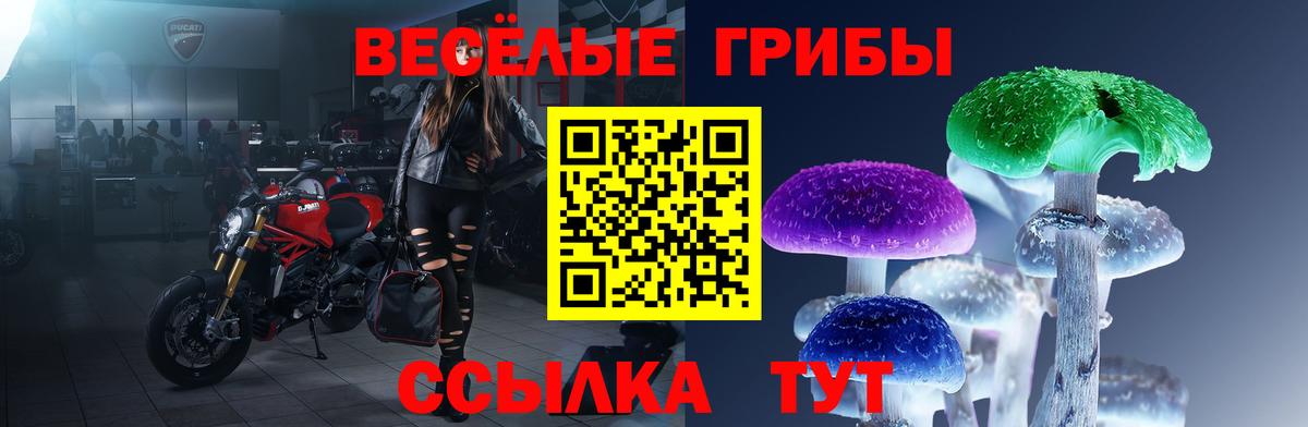 Псилоцибиновые грибы GOLDEN TEACHER Дальнегорск