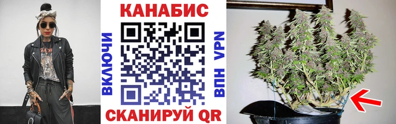цены наркотик  Дальнегорск  Канабис SATIVA & INDICA 